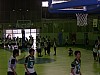 basketball16